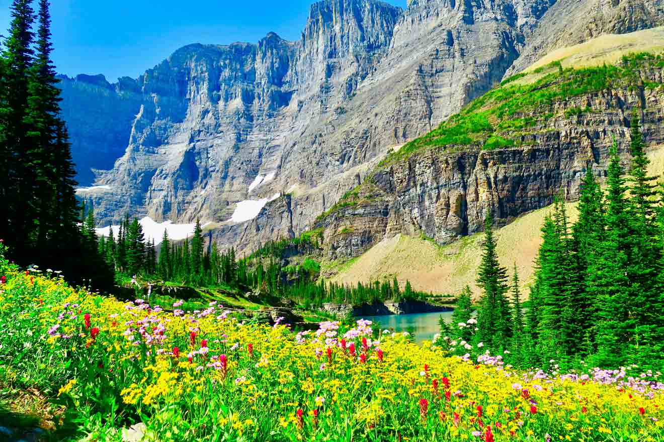 A lush, vibrant meadow filled with wildflowers in Glacier National Park, with towering mountains in the backdrop under a bright blue sky