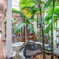 A serene courtyard with numerous green plants, wicker chairs, and a tiled floor. The area features a mix of modern and tropical decor.