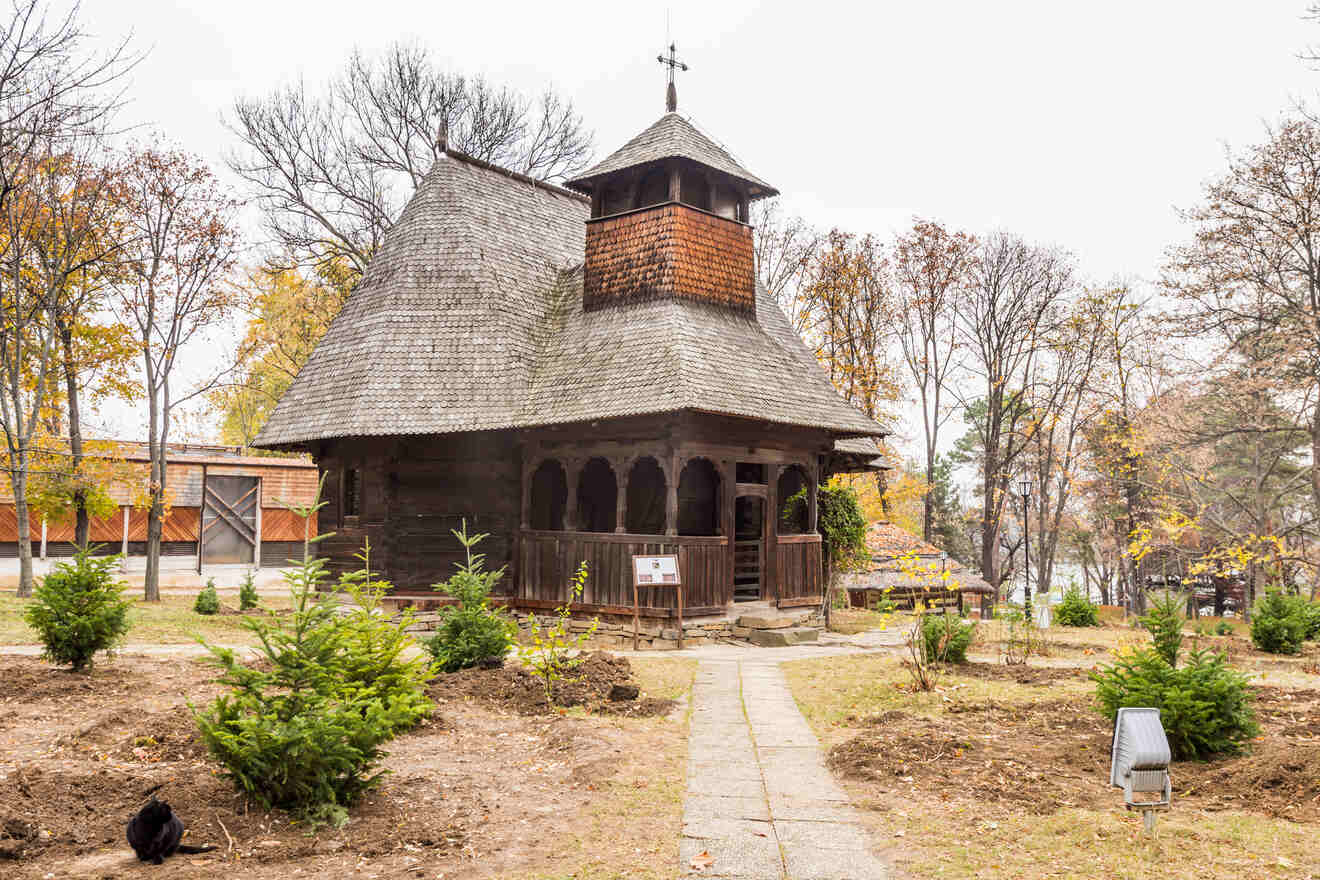 1.2 Dimitrie Gusti National Village Museum