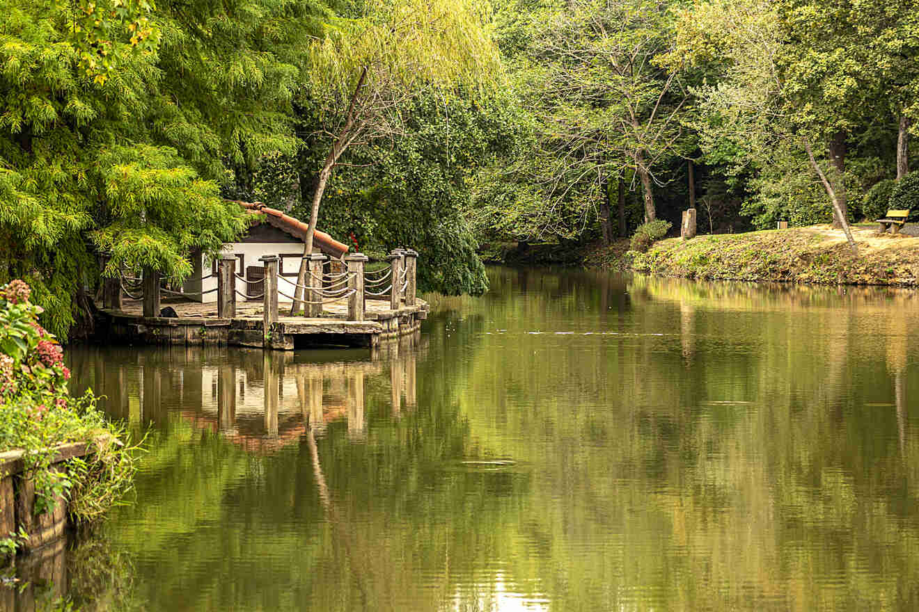 10 botanical park with wood plants