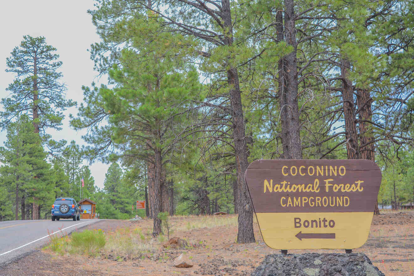 Sign for Coconino National Forest Campground Bonito, next to a road lined with pine trees, and a parked car in the distance.