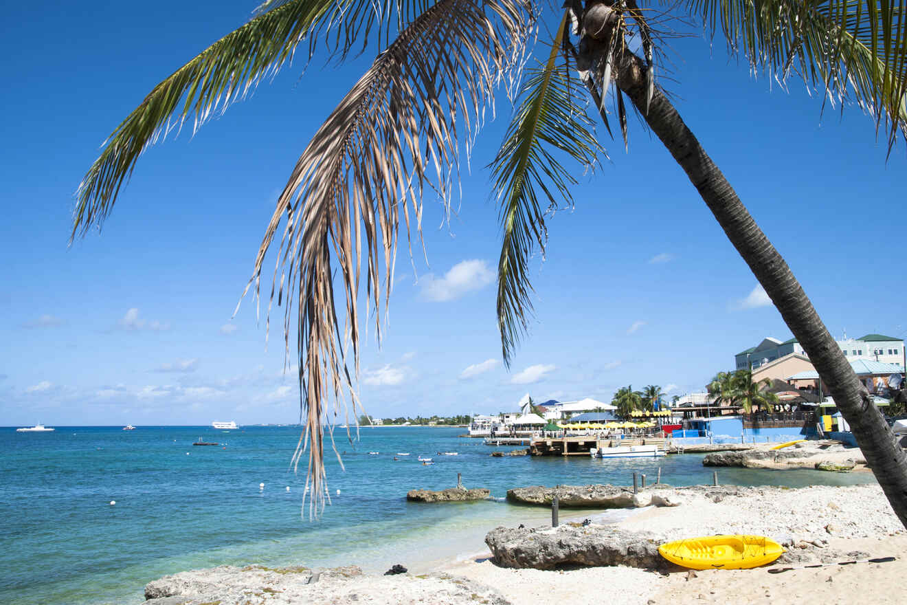 A tropical beach scene with a leaning palm tree, yellow kayak on the sand, rocky shoreline, and buildings in the background under a clear blue sky.