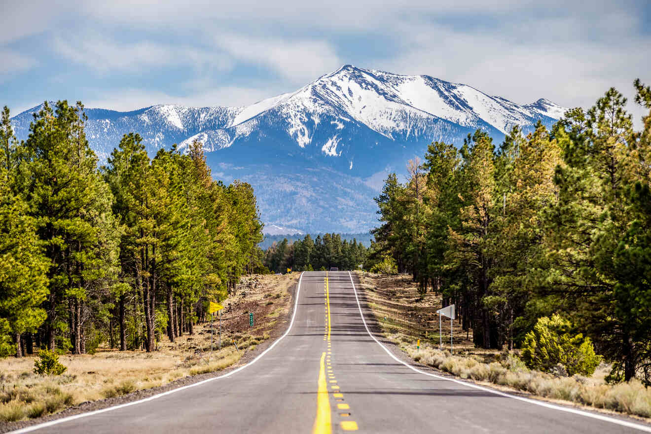 Open road leads to snow-capped mountains, flanked by green pine trees under a cloudy sky.