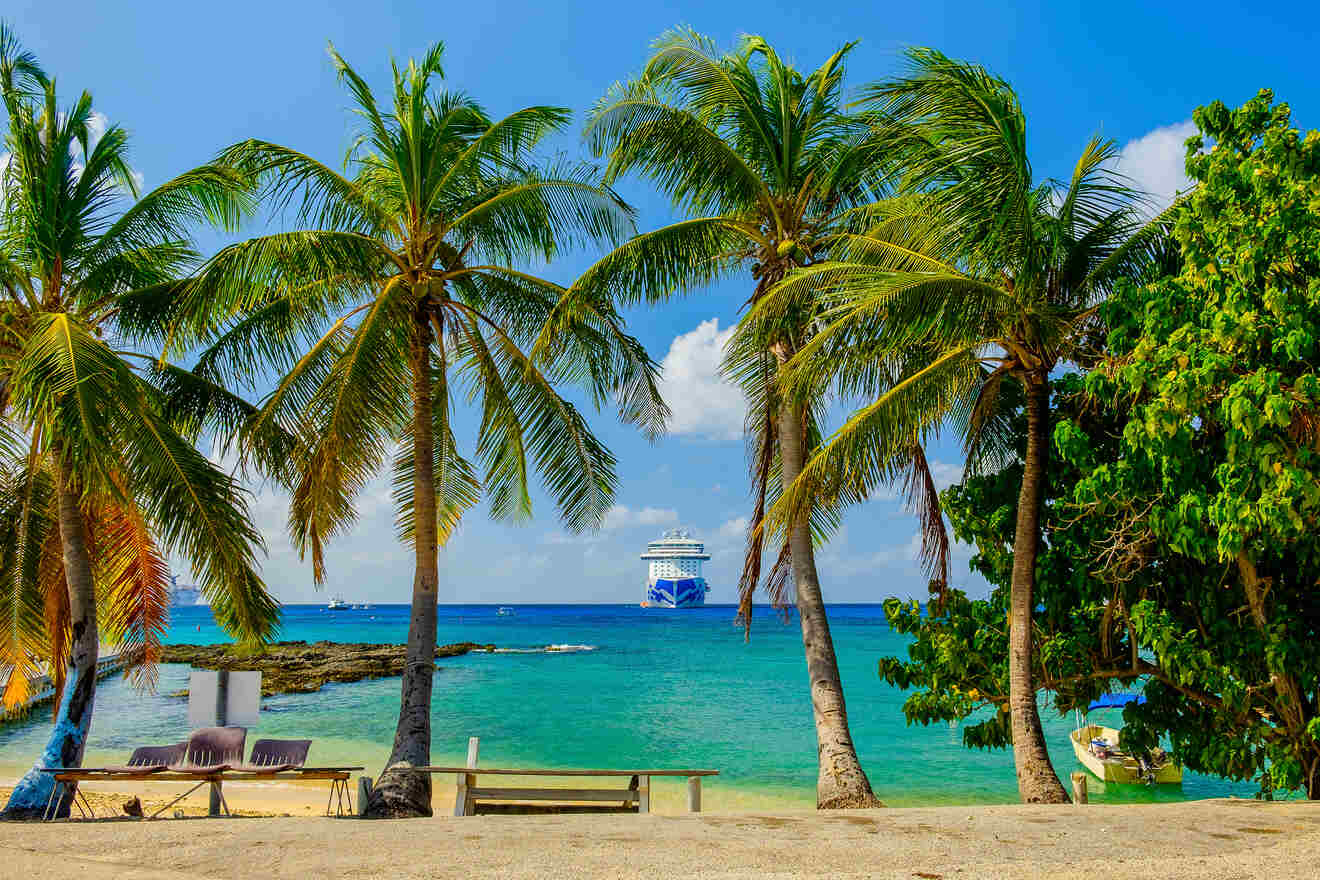 A beach scene with palm trees in the foreground and a cruise ship on the turquoise sea in the background. The sky is clear with a few clouds.