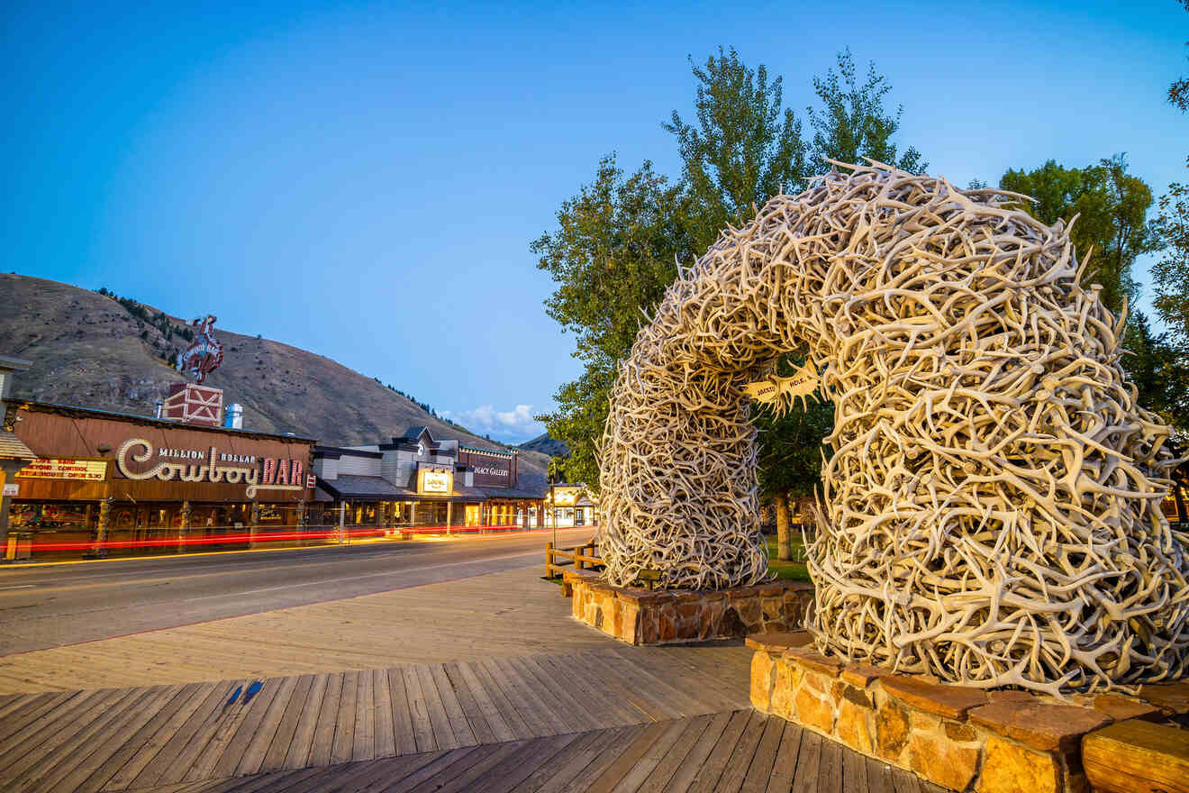 6 Top Pet Friendly Hotels in Jackson Hole