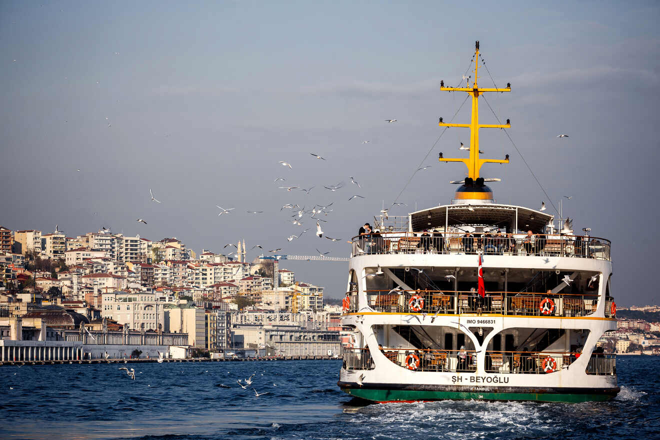 7 Cruise on the Bosphorus River