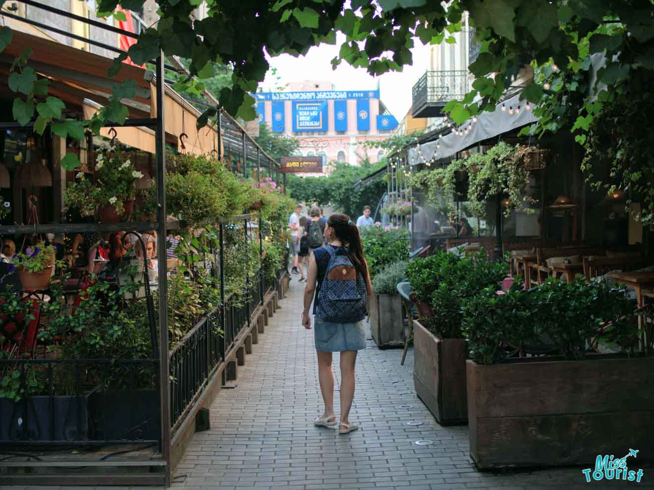 A quaint alleyway in Tbilisi lined with greenery and outdoor café seating, capturing the charming atmosphere of local dining culture.