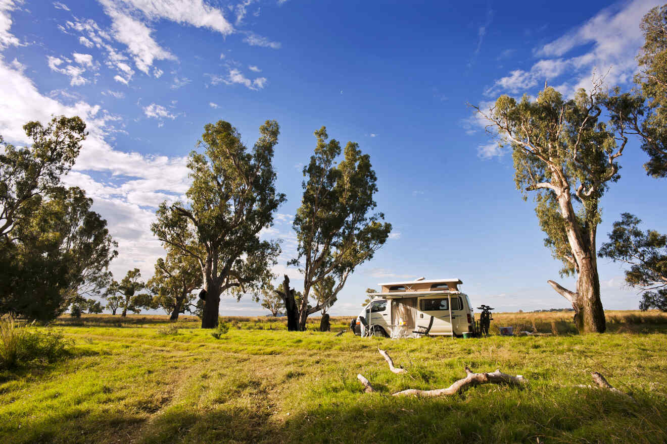 A camper van is parked in a grassy field surrounded by tall trees under a partly cloudy blue sky.