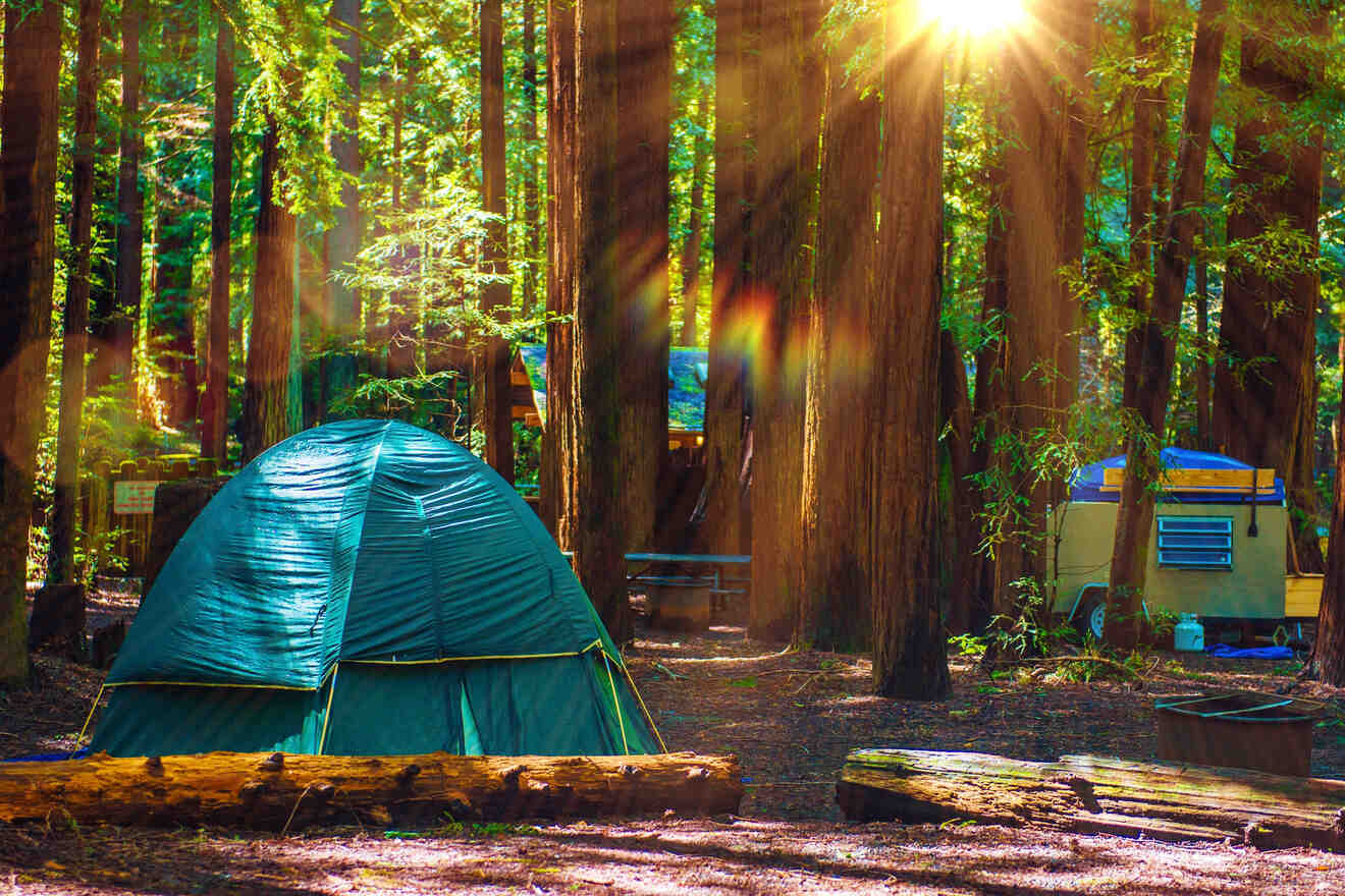 tents and trailers camping between tall redwoods