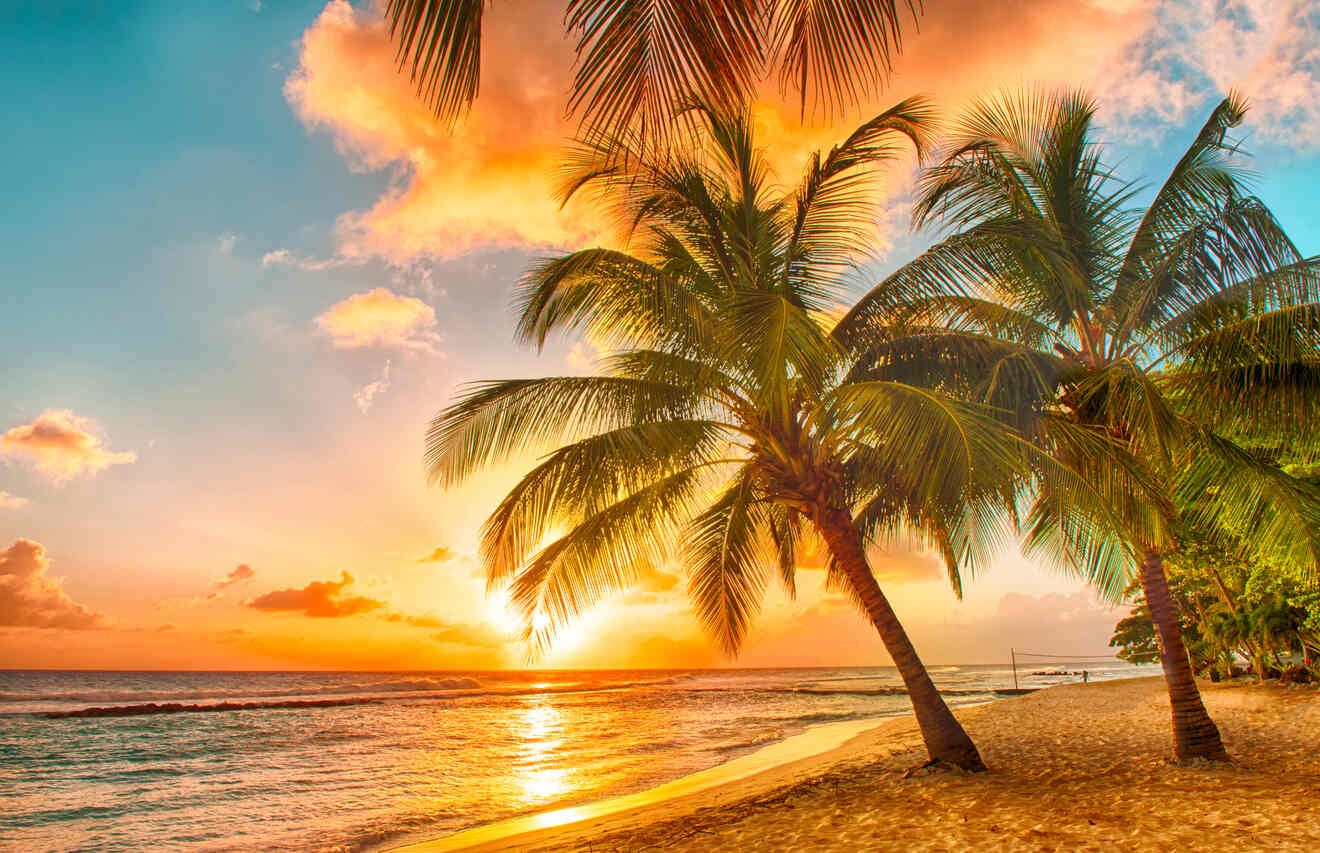 Palm trees on a sandy beach at sunset, with vibrant orange and pink hues in the sky and the sun setting over the ocean.