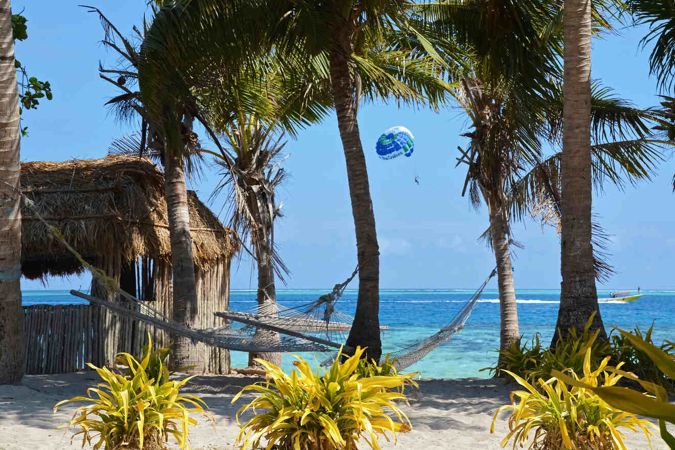 A tropical beach scene with palm trees, a hammock, a thatched hut, and a parasailor in the sky above a blue ocean.