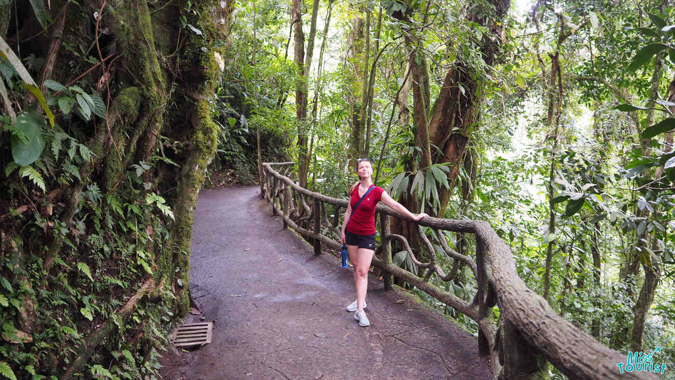 15 Tours in la fortuna arenal prices