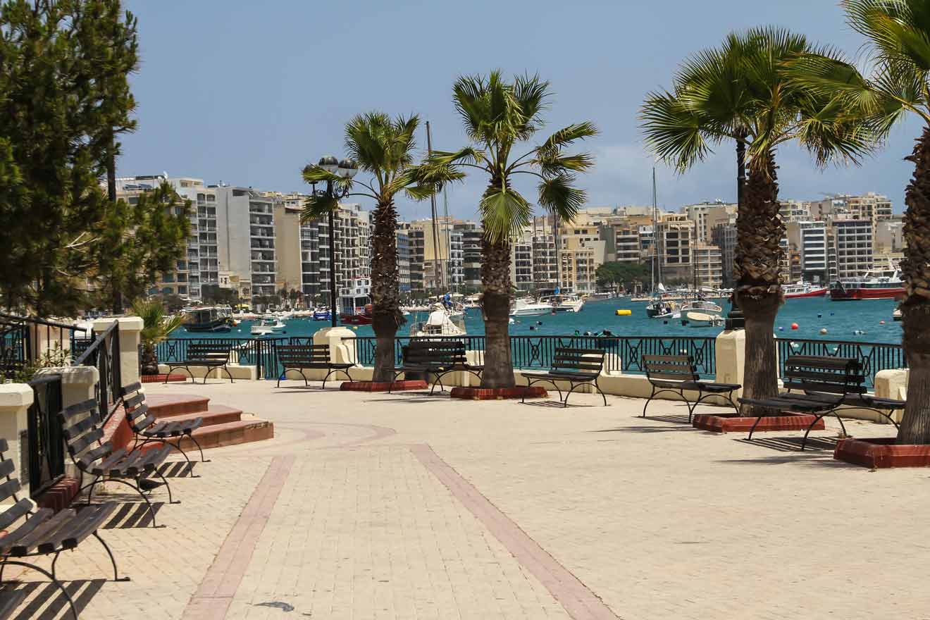 Promenade in Sliema, Malta, with a line of palm trees and benches overlooking a view of the marina filled with boats and the urban skyline under a clear blue sky