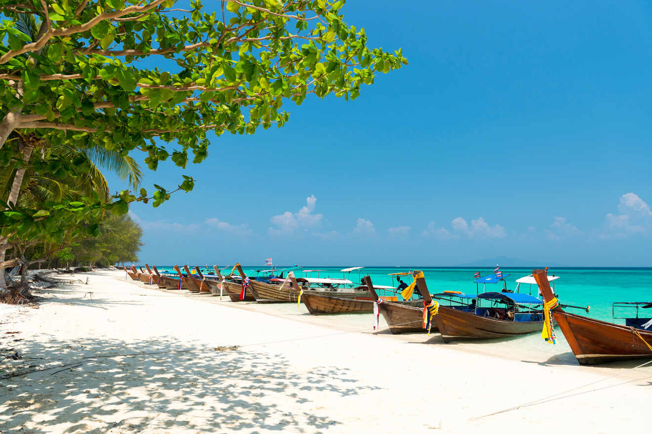 A row of wooden boats lined up on a sandy beach under the shade of green trees.