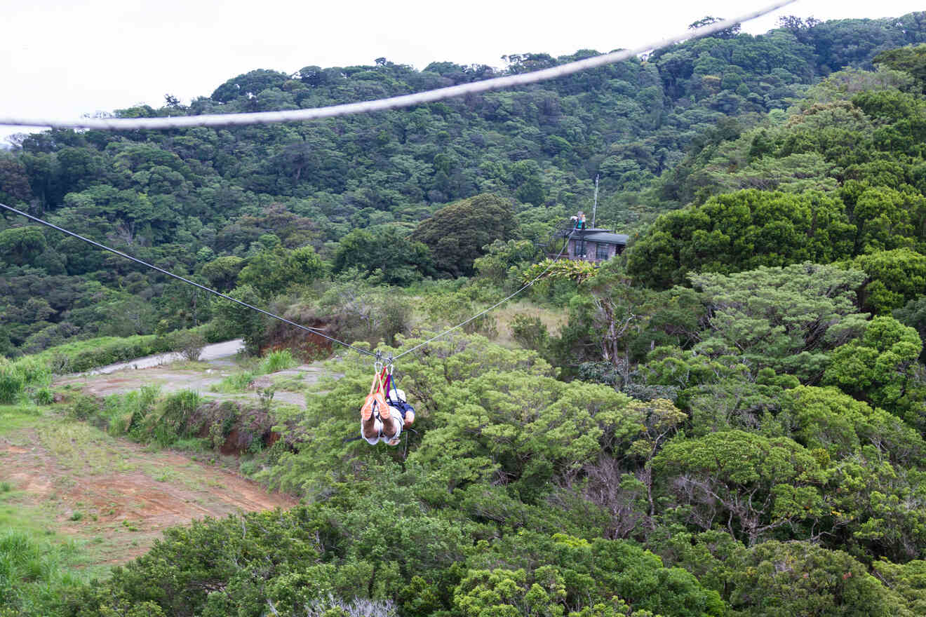 A person going on a zipline