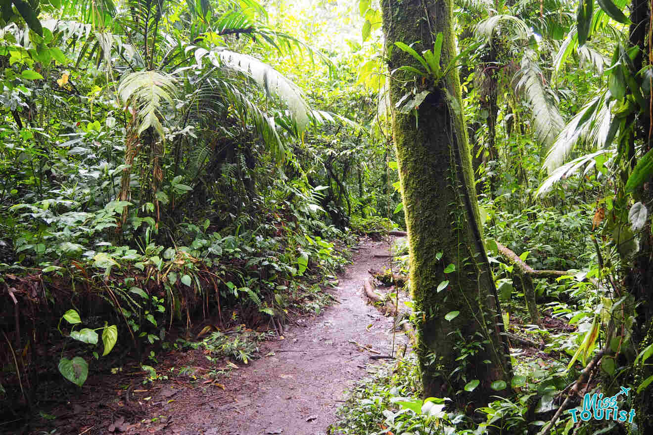 9 hiking techniques at Cerro Chato Volcano