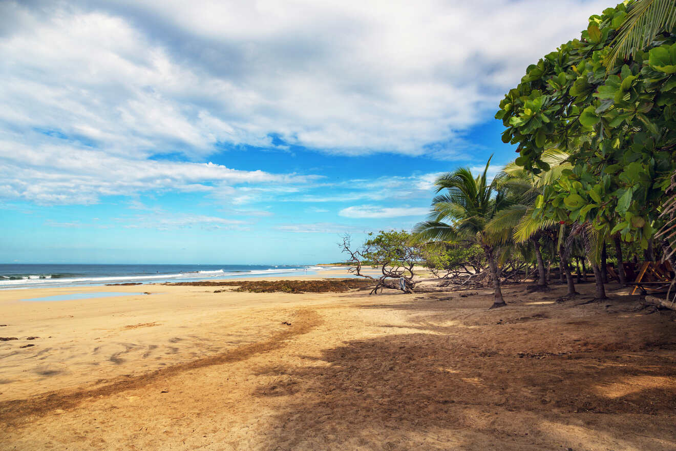 Best Tamarindo hotels on the beach