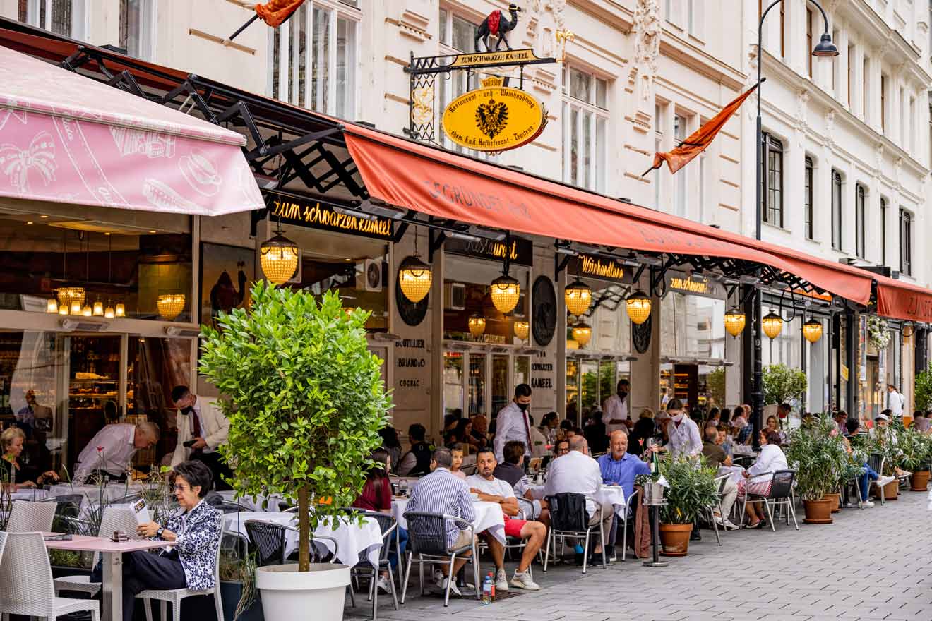 Cool vegetarians cafe to eat in Vienna