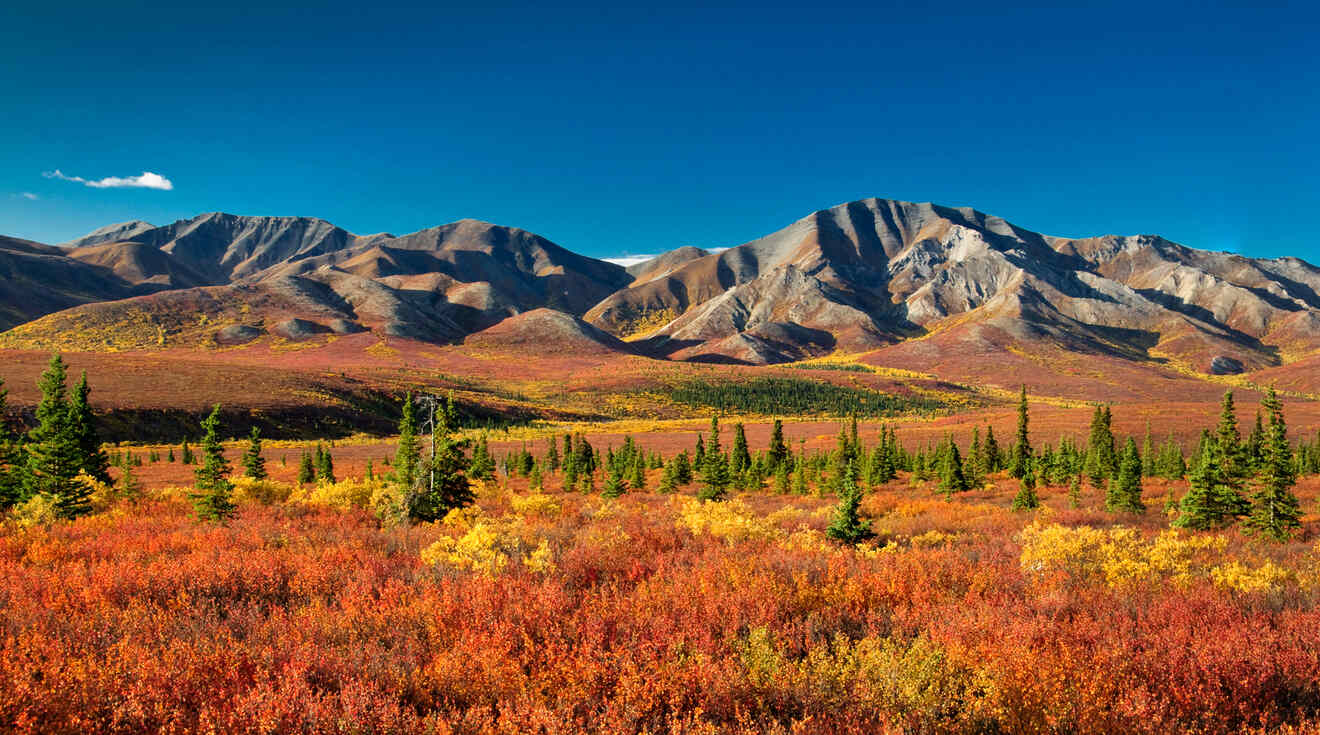 Autumn landscape featuring colorful foliage, evergreen trees, and rugged mountains under a clear blue sky.