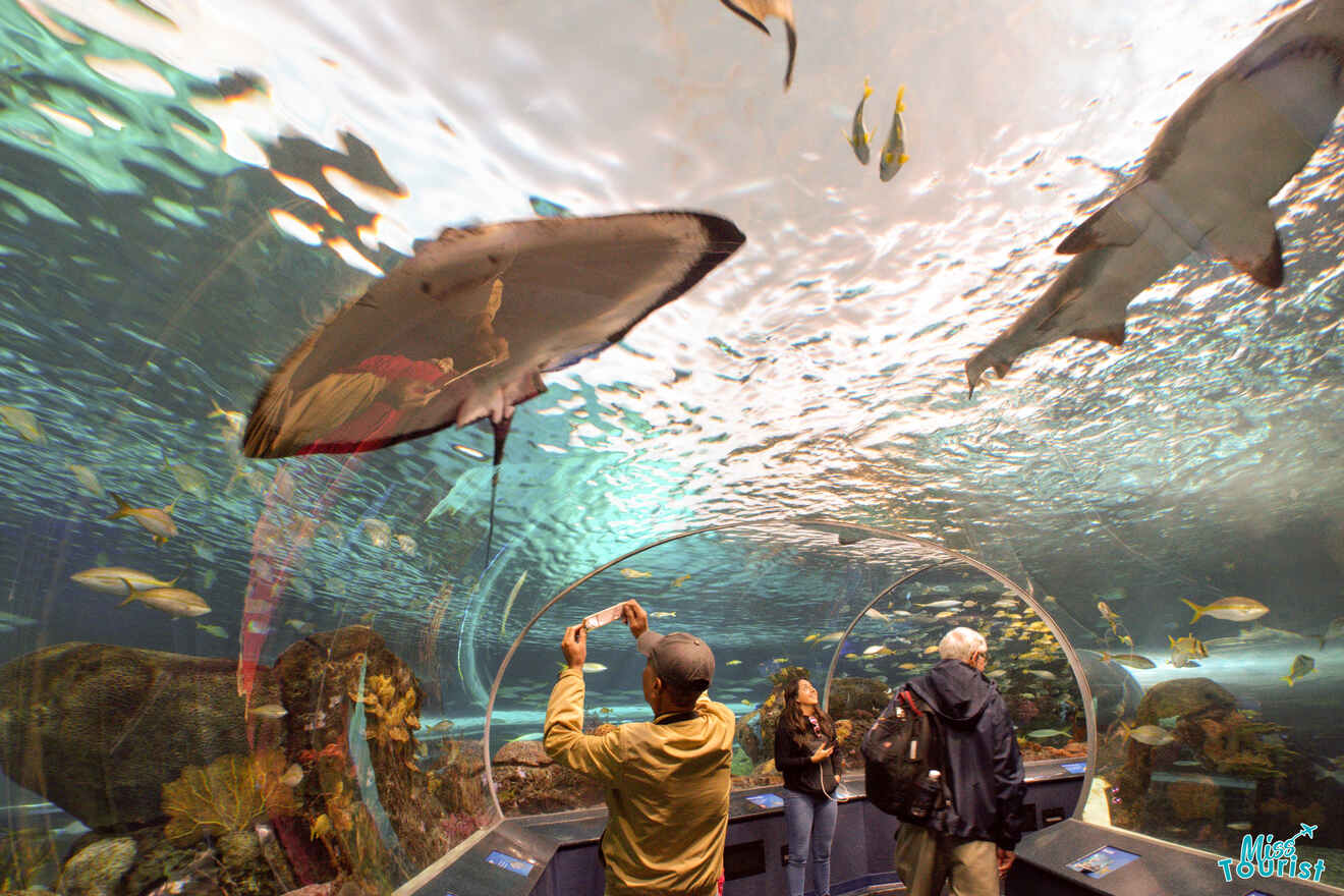 2 largest indoor Ripley Aquarium Canada