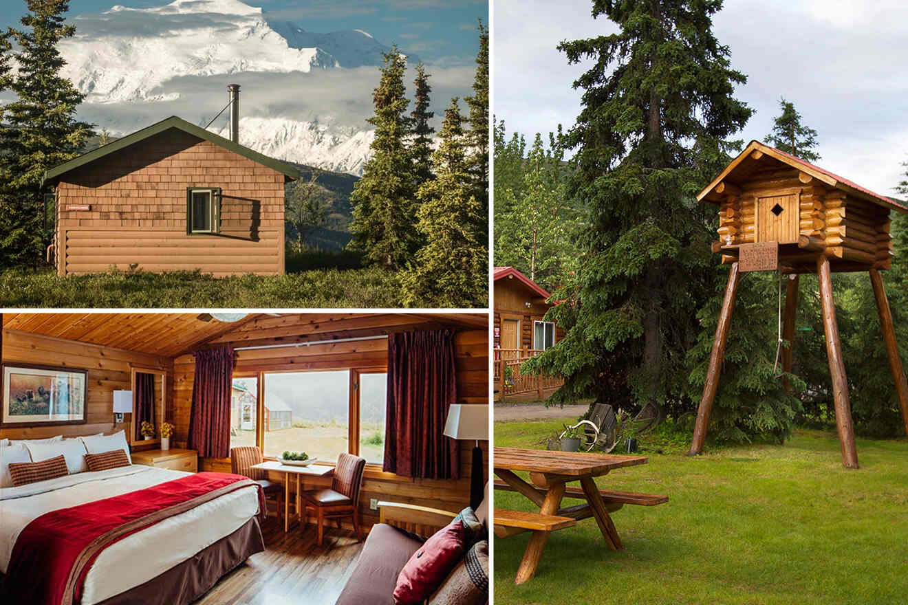 6 1 Accommodations inside Denali National Park