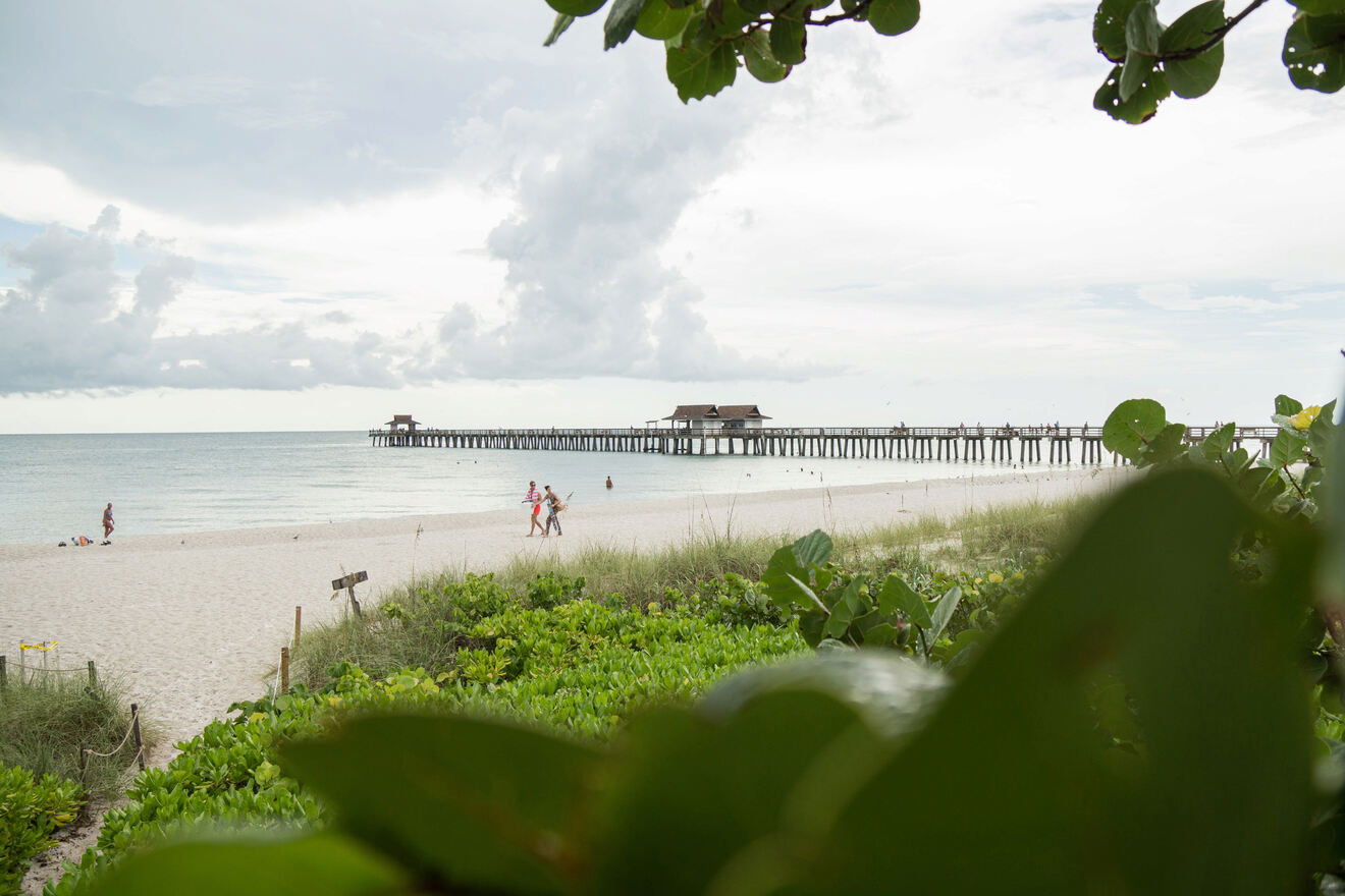 6 Pet Friendly Hotels in Sanibel Town