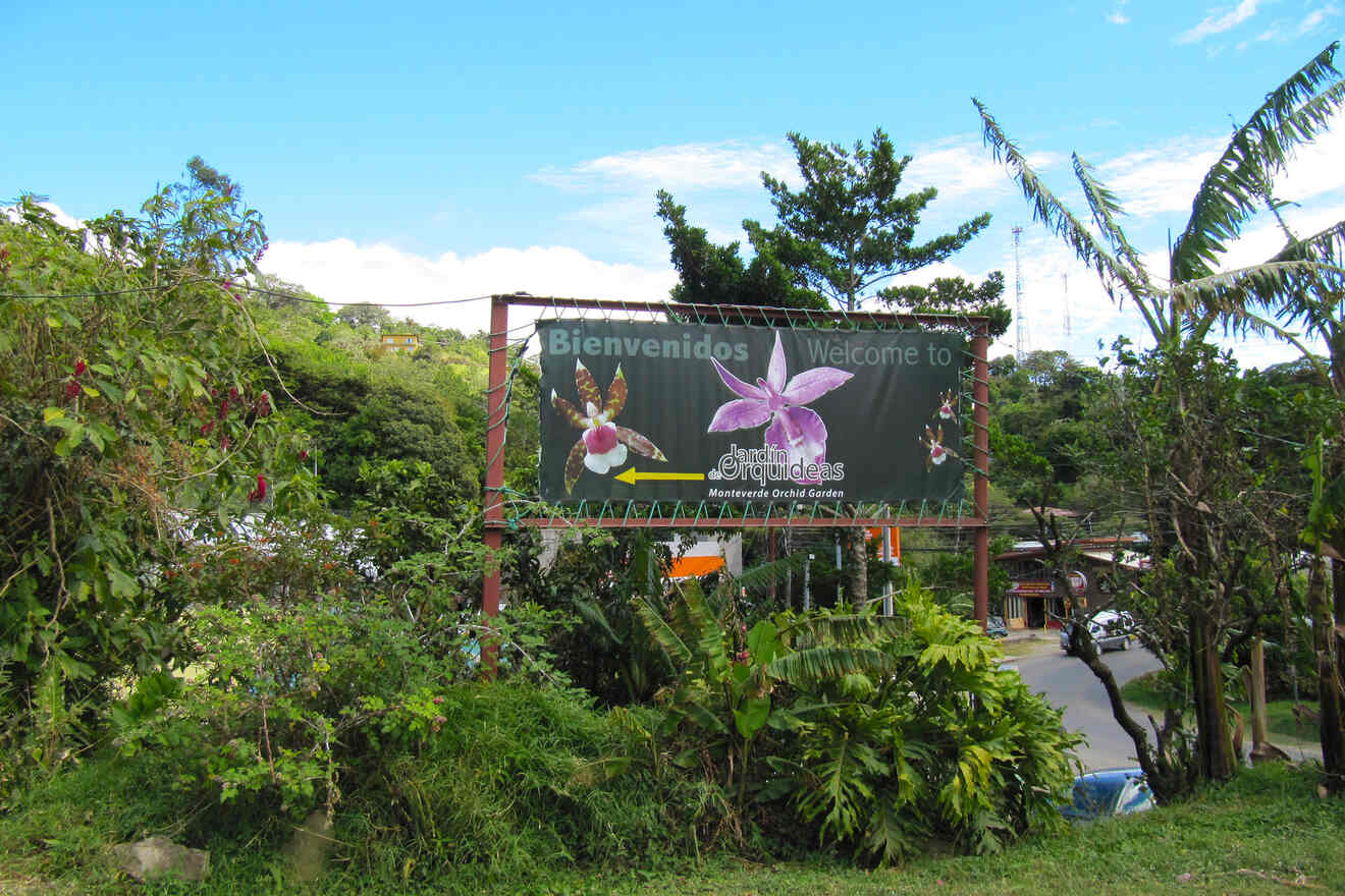 6.1 Monteverde Orchid Garden