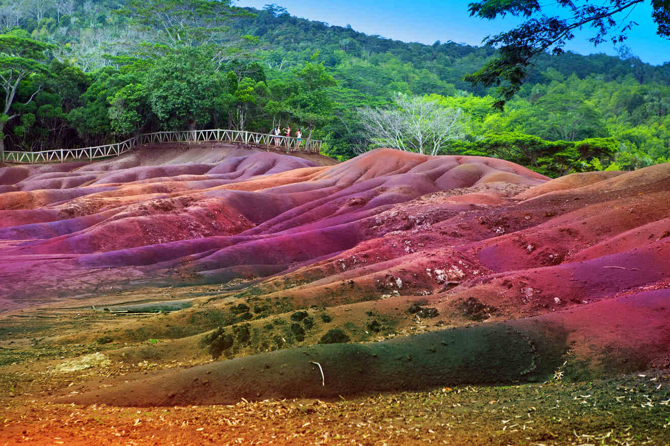 The 'Seven Coloured Earths' geologic formation with its rolling hills of multi-hued sand, a unique tourist attraction bordered by a lush forest and a viewing platform