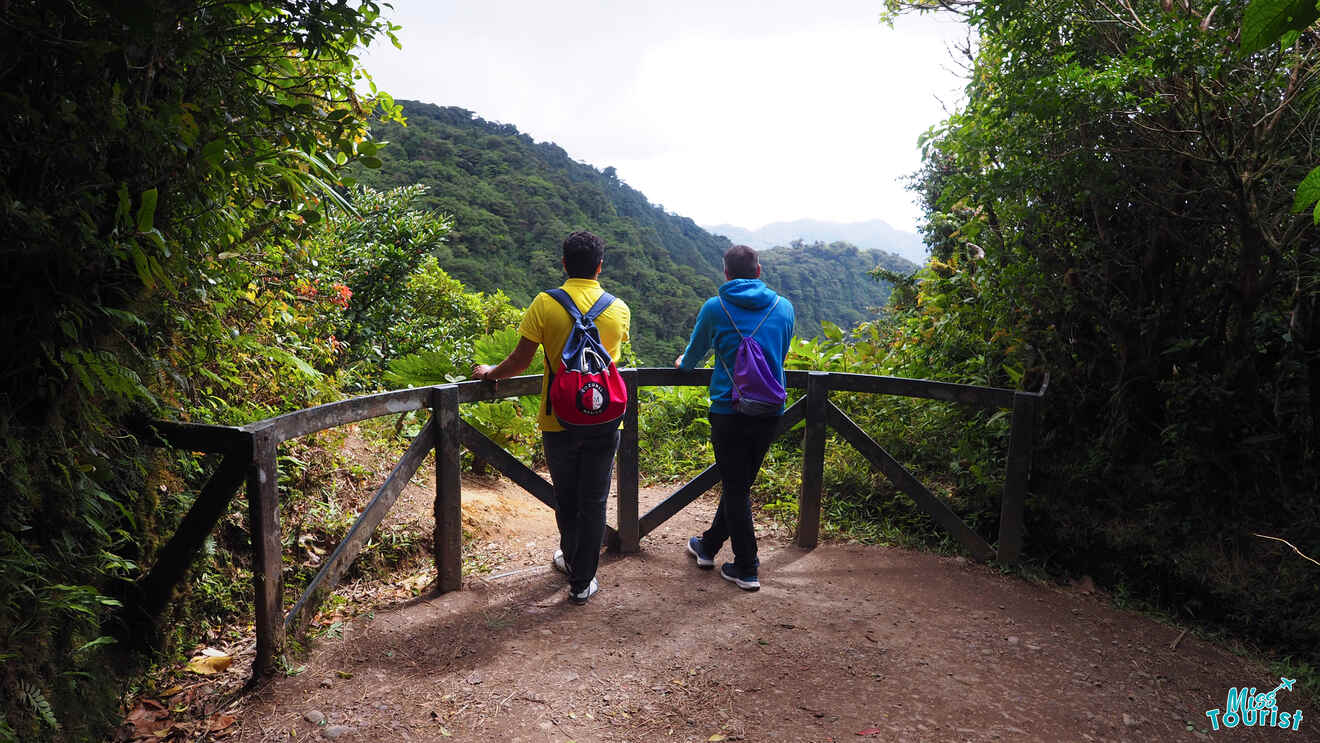 Best tours to try in Monteverde