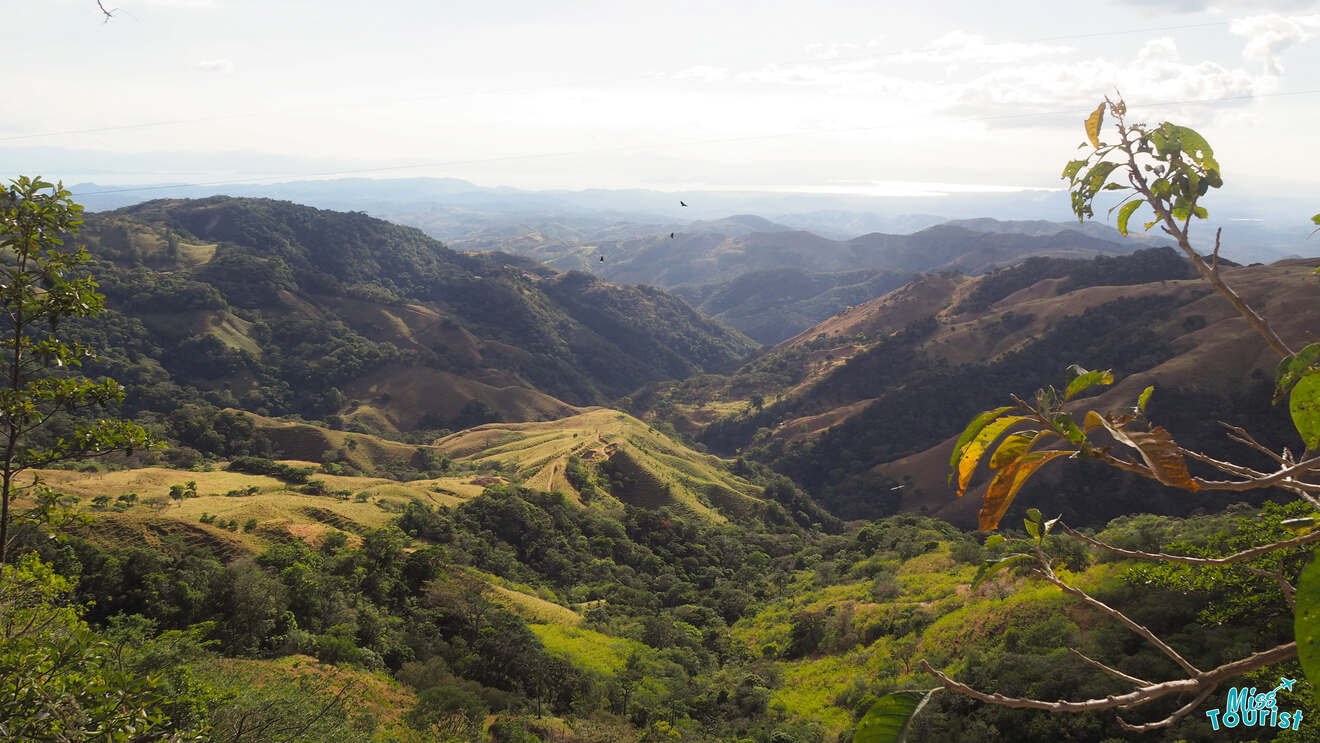 Frequently asked questions about Monteverde Costa Rica