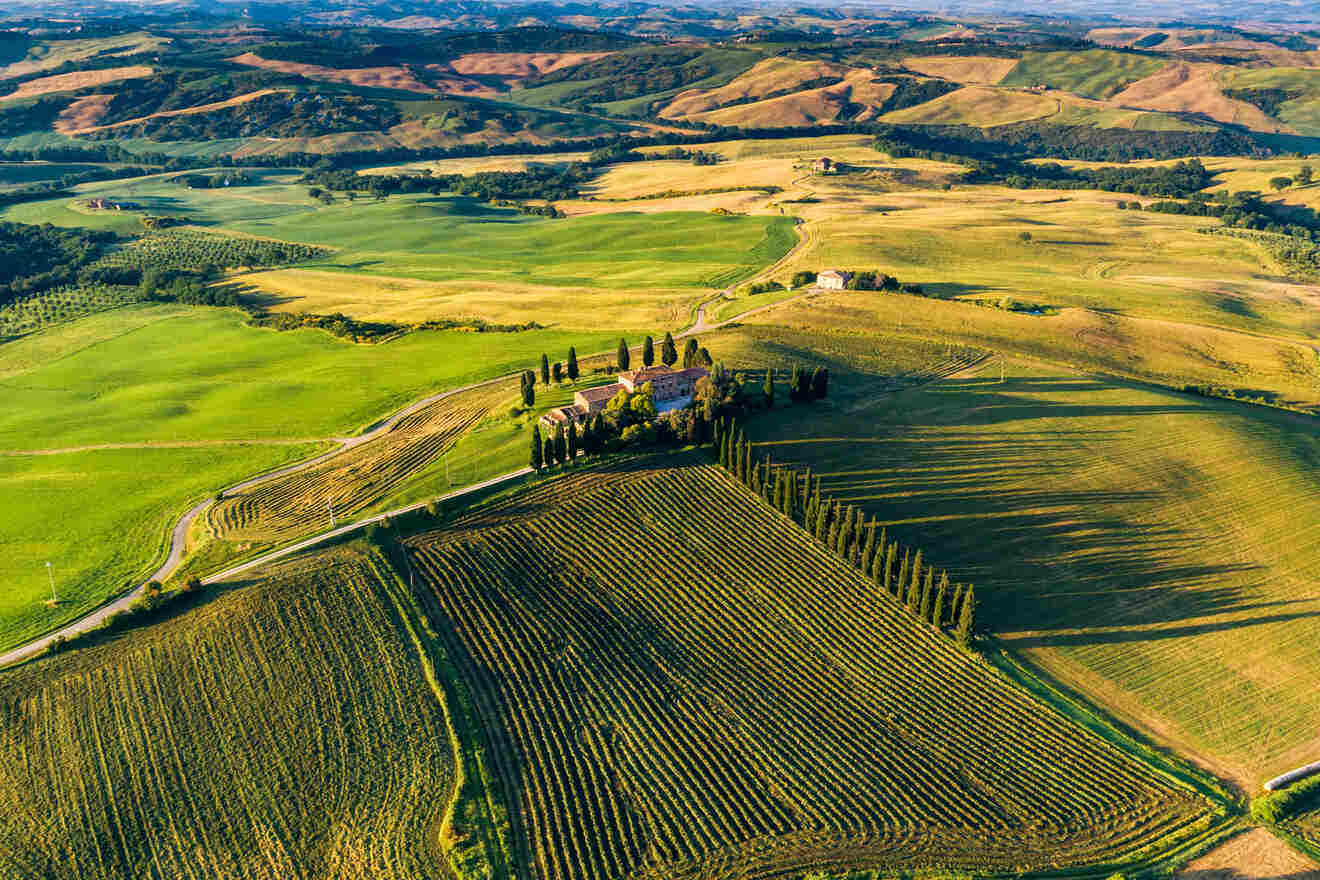 aerial view over tuscany fields and vineyards