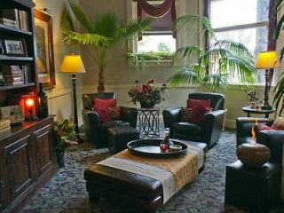 A lounge area with leather chairs, potted plants, and soft lighting.