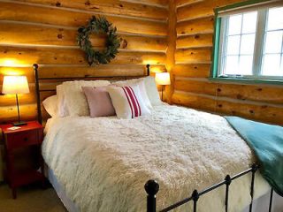 Rustic cabin bedroom with a fluffy white comforter on a wrought-iron bed and warm wooden walls