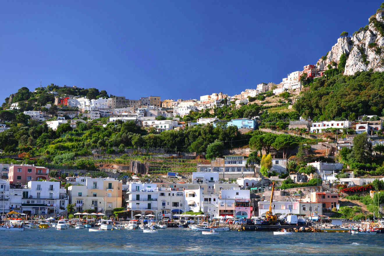 View of a coastal town with colorful buildings on a hill, green vegetation, boats docked in the water, and a clear blue sky overhead.