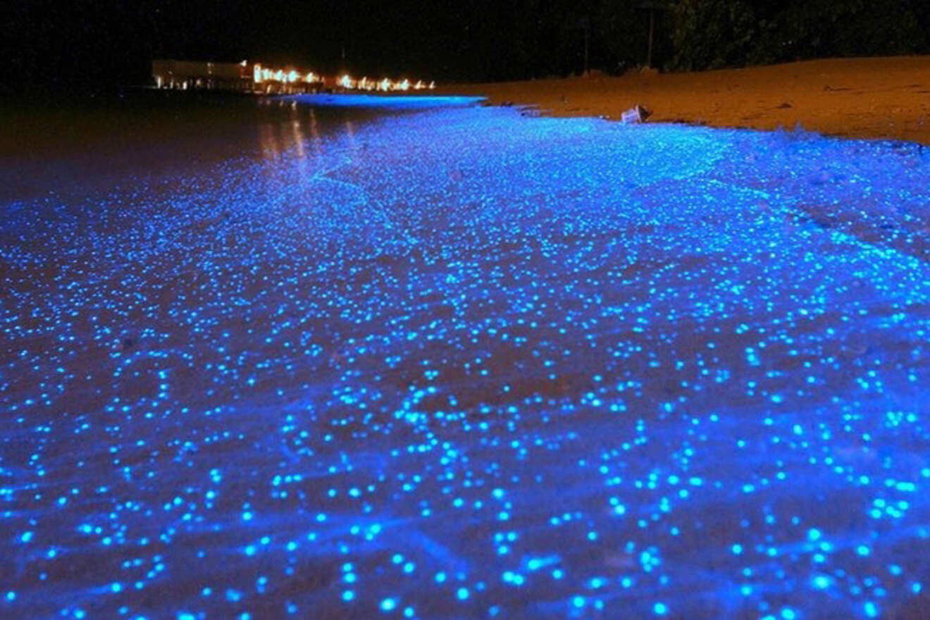 5 Bioluminescent Manialtepec Lagoon