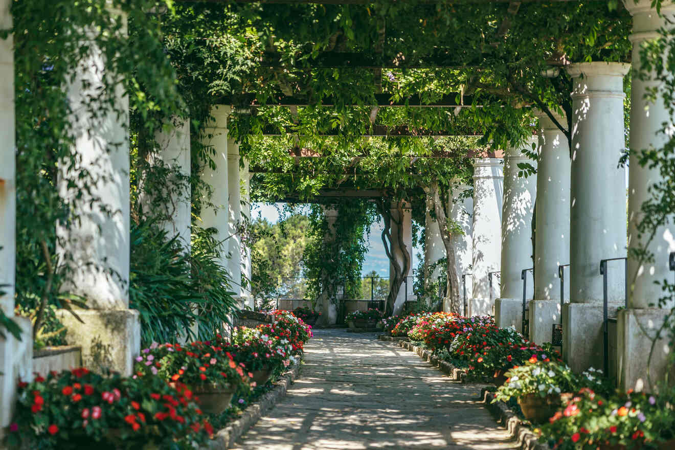 A garden walkway with white columns and a pergola covered in green vines, bordered by lush plants and colorful flowers in pots, leading to a distant view of water.