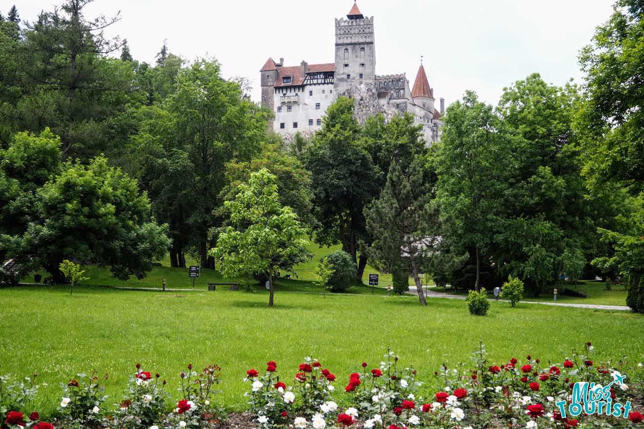 A historic castle atop a hill is surrounded by lush greenery and trees, with red and white flowers in the foreground.