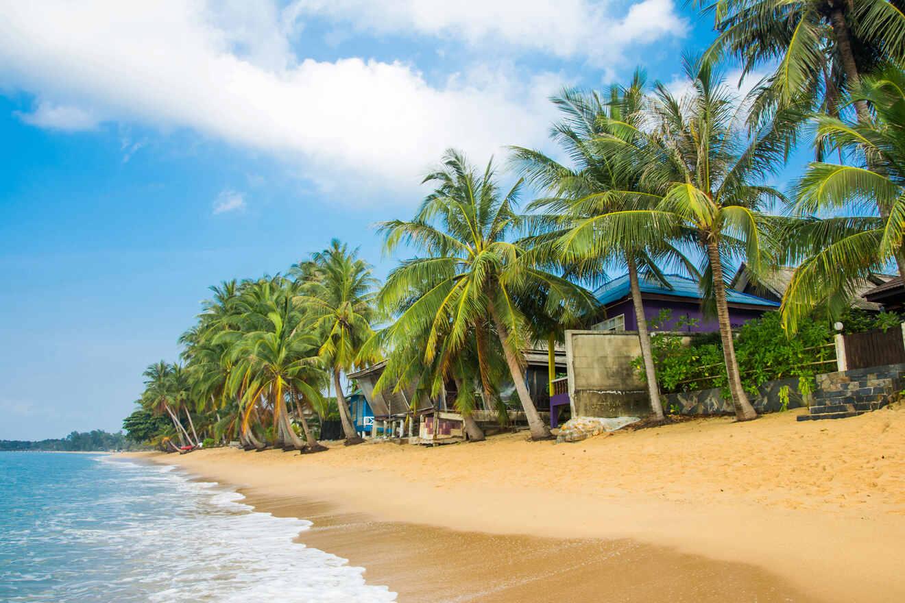 A tropical beach with golden sand, lined with palm trees and several colorful beachfront houses under a clear blue sky. Gentle waves are lapping at the shore.