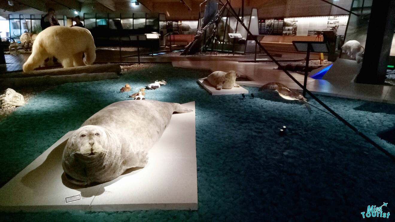 4 Learn about the island at the Svalbard Museum
