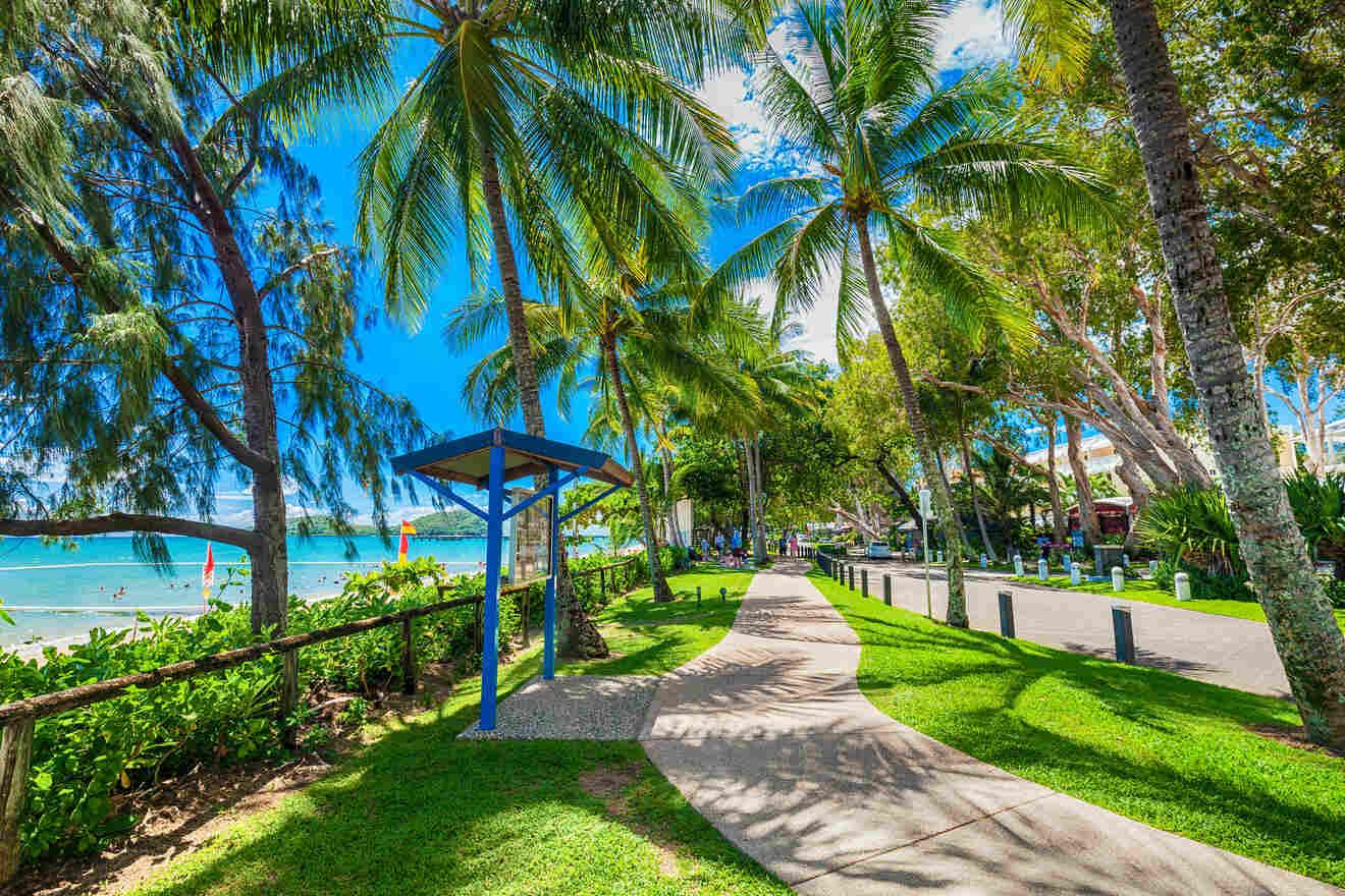 Palm Cove - Paved pathway running alongside a pristine tropical beach shaded by palm trees, hinting at a scenic waterfront promenade