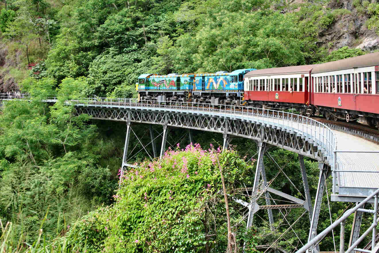 Historic train on Kuranda Scenic Railway crossing a steel bridge over a lush gorge, possibly a scenic railway route popular with tourists
