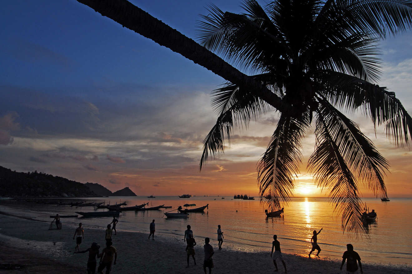 Silhouetted people playing on a beach at sunset with boats on the water and a large palm tree in the foreground.