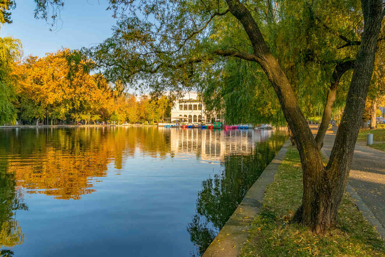 8 Relax in Central Park and catch a sunset from Cetatuia Park