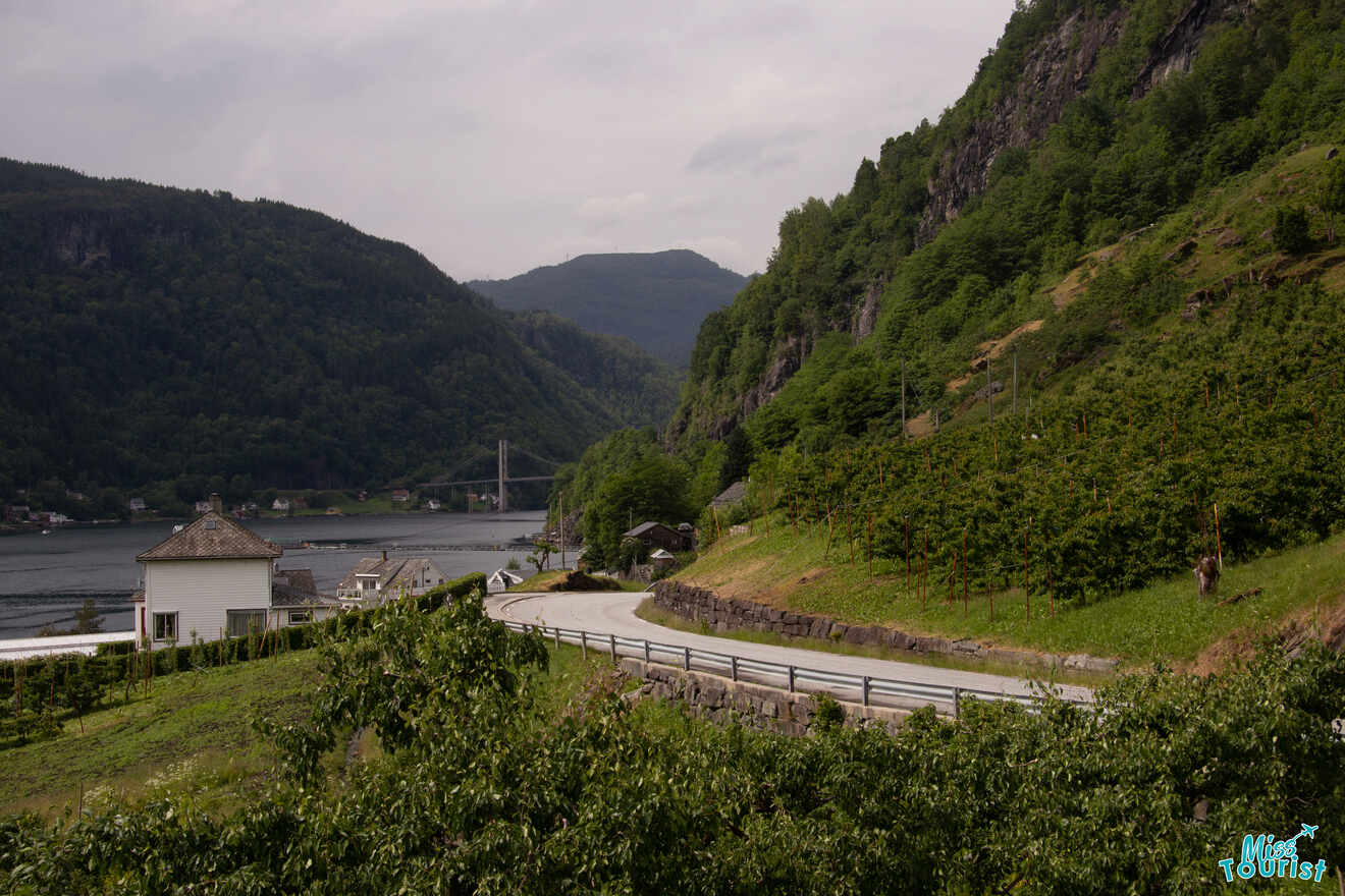 Toll Roads in Norway Oslo and Trondheim
