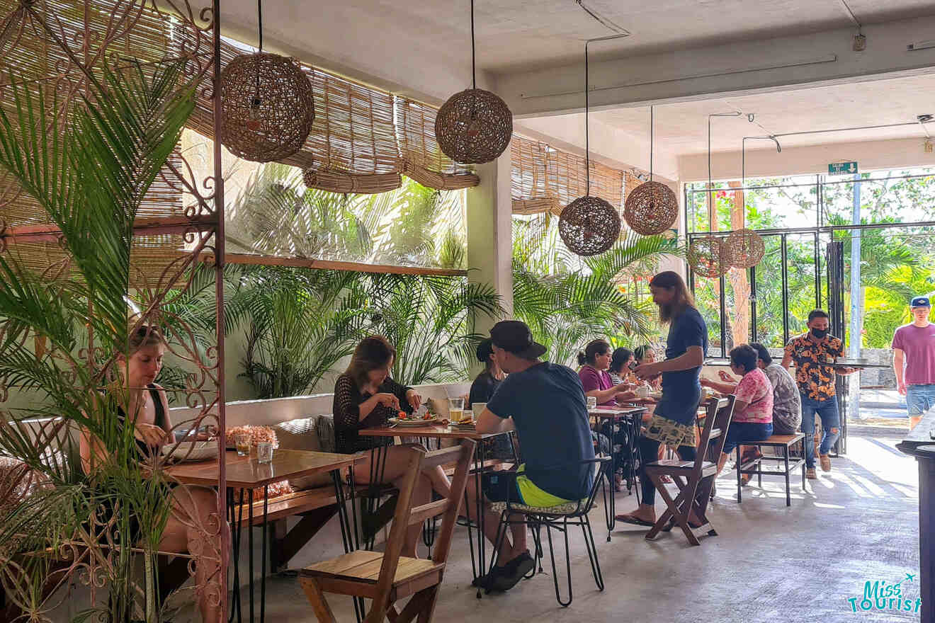 People dining and socializing in a bright, airy cafe with natural decor, wooden furniture, and large windows. Indoor plants and wicker light fixtures create a cozy atmosphere.