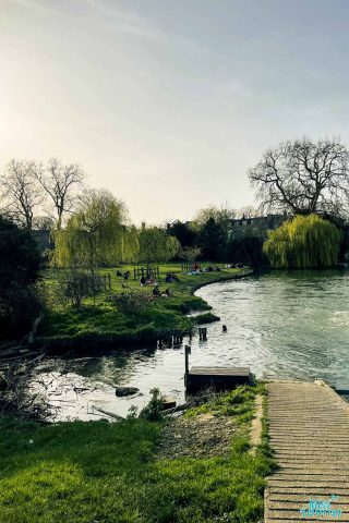 1 punting tour on the river cam