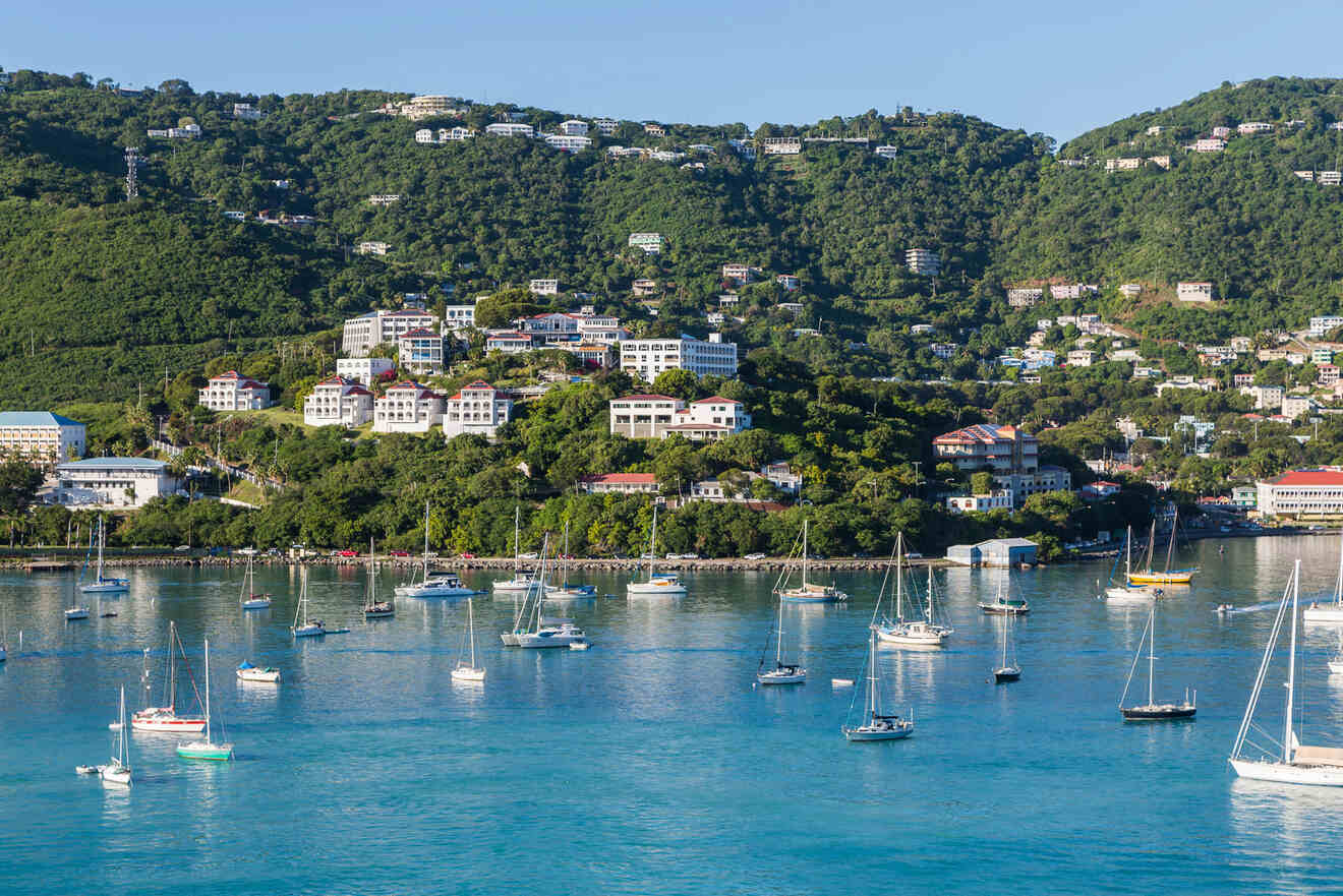 View of a coastal hillside with numerous houses surrounded by lush greenery. Multiple sailboats are anchored in the calm blue waters in the foreground.