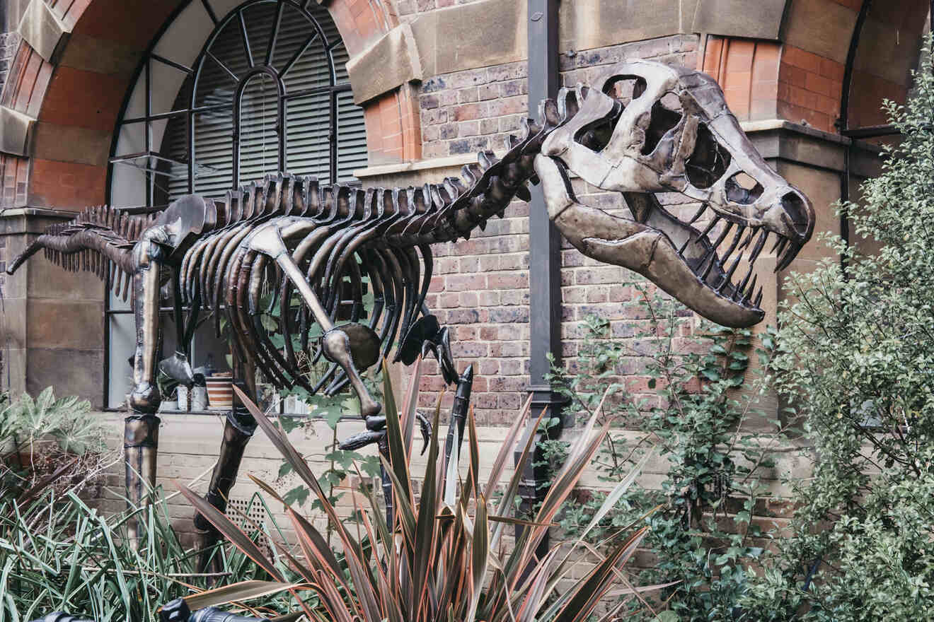 15 free family days out cambrid Sedgwick Museum of Earth Sciences
