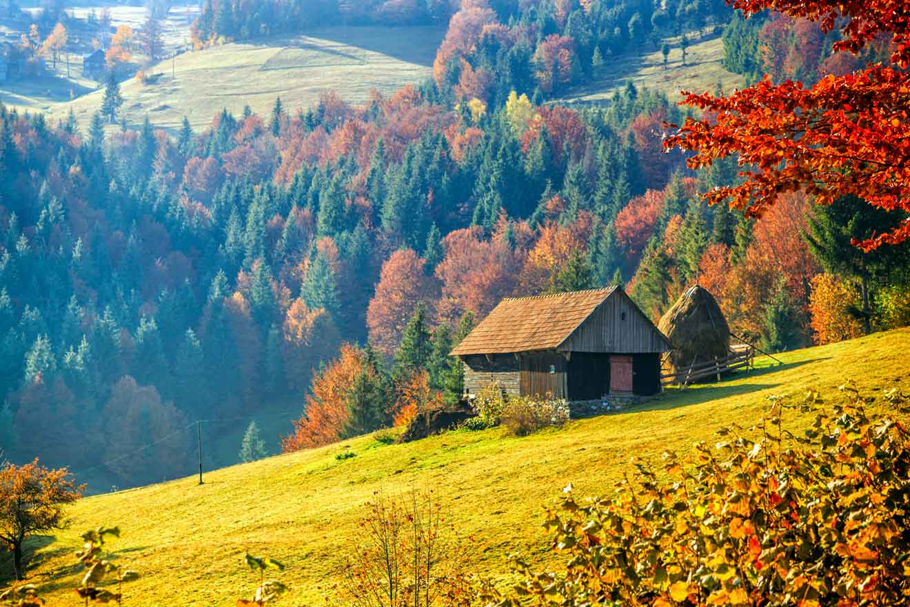 A small cabin and a haystack sit on a grassy hillside, surrounded by colorful autumn trees and dense forest.