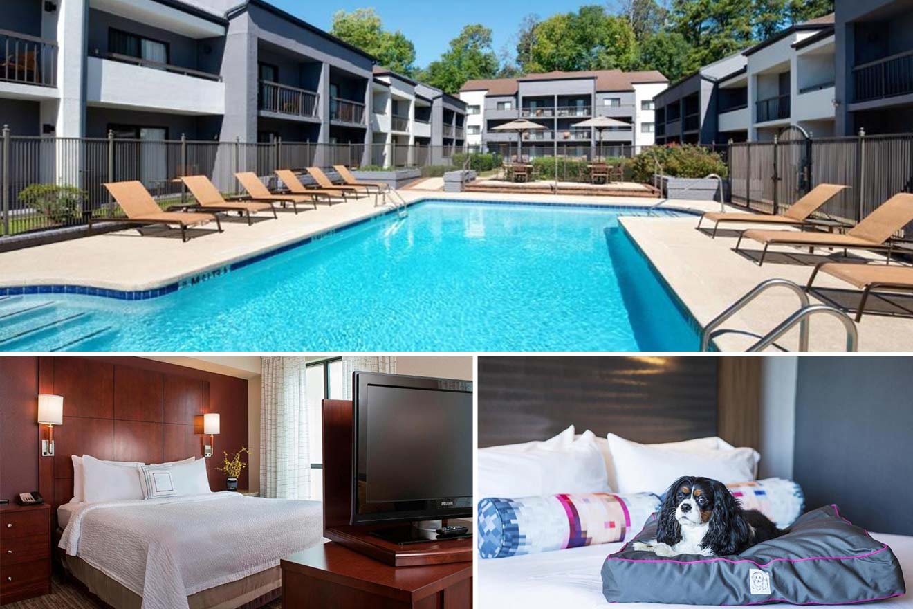 4 Where to stay in Birmingham Alabama with your dog